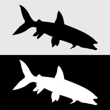Sık sık saklanan yırtıcı balıkların siluet tasarımı