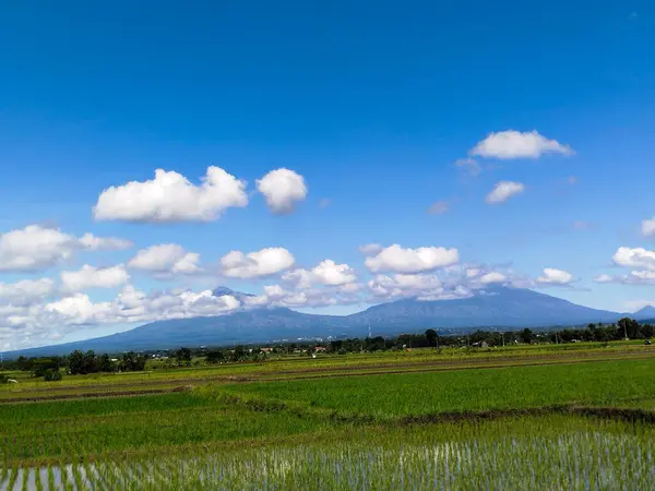 Parlak bulutlu gökyüzü manzarası
