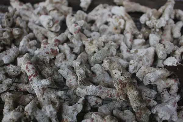 Zencefilli mercan balık havuzları için filtreleme olarak kullanışlıdır.