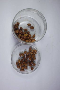 Kızarmış fıstık çıtır çıtır ve lezzetli olur..