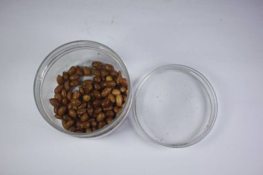 Kızarmış fıstık çıtır çıtır ve lezzetli olur..