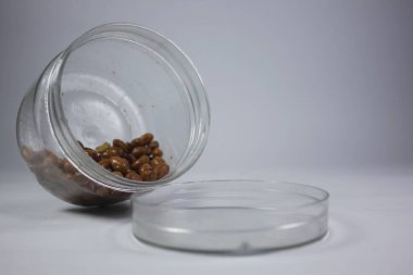 Kızarmış fıstık çıtır çıtır ve lezzetli olur..