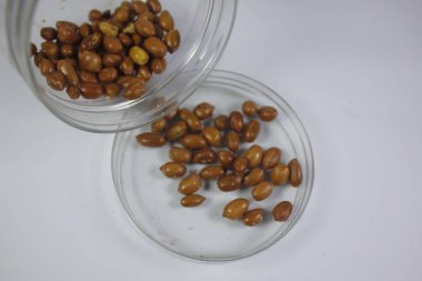 Kızarmış fıstık çıtır çıtır ve lezzetli olur..