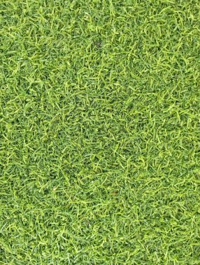 Yeşil çimlerin arkaplan dokusu.