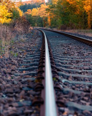 Ağaçlardaki sonbahar renkleriyle uzaklığa giden tren yolu.