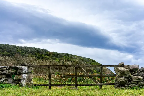 Velho Portão Madeira Fechando Uma Típica Parede Pedra Açoriana Contra — Fotografia de Stock
