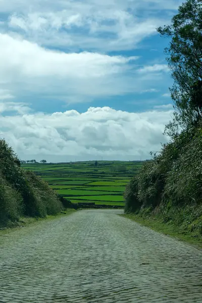 Estrada Pedra Panorâmica Ilha Terceira Açores Paisagem Rural Tranquila Com — Fotografia de Stock