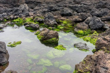 Terceira Adası, Azores 'teki volkanik kaya oluşumları arasında yuva yapmış Idyllic küçük gölü.. 