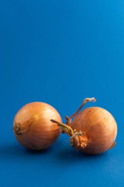 Canlı mavi arkaplan çerçeveleri iki taze soğan, aşçılık ilhamını çağrıştırıyor. Yemek temalı tasarımlar için mükemmel..