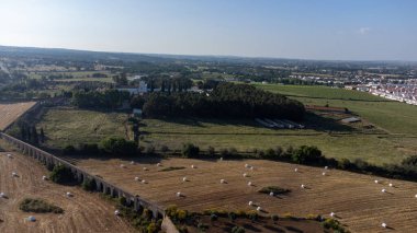 Saman filizi balyaları geniş Alentejo arazilerini doldurarak Portekiz 'in kırsal kesiminin cazibesini yakalıyor..