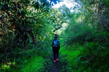 Portekiz, Vora 'daki ağaçların arasında Alentejo' nun yeşil tarlalarında yürüyüş yapan bir kadın. Güneşli bir günde huzurlu manzaranın ve bereketli kırların tadını çıkarıyor..
