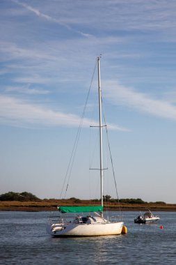 Sakin sular ve yemyeşil sularla çevrili sakin bir bölmeye küçük bir tekne yanaştı. Huzurlu bir ortam, huzurlu kıyı yaşamının özünü yansıtıyor..