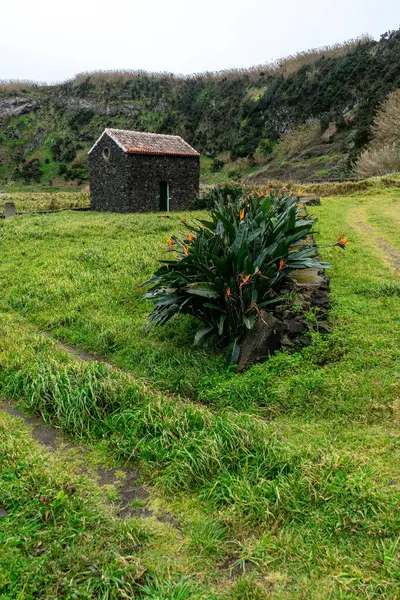 stock image A rustic house on Terceira Island, Azores, Portugal, nestled among vibrant bird-of-paradise flowers (Strelitzias) under a moody, overcast sky, capturing the island's raw natural beauty.