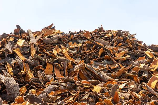 stock image Stacks of cork harvested from Alentejo's cork oak trees, piled high under the sun, awaiting processing. The rough, textured surfaces create a rustic and natural feel, typical of the region.