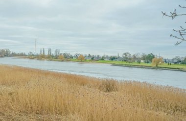 Geniş bir göl, bulutlu gökyüzünün altında uzun otlarla örtülmüş doğal bir manzara yaratır. Ağaçlar ufukta belirdi, dingin manzarayı güçlendiriyor.