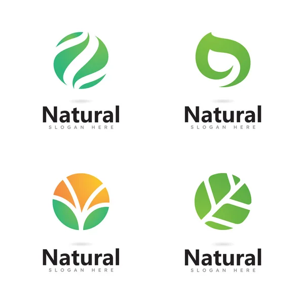 Baum Blatt Vektor Logo Design — Stockvektor