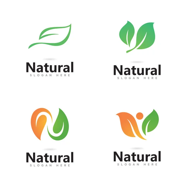 Tree Leaf Vector Logo Design — Stock Vector