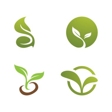 Bitki Tohumları Logo Vektörü Konsepti Şablonu 