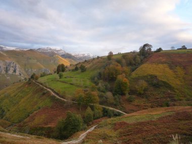 Cantabria vadilerinde sonbahar