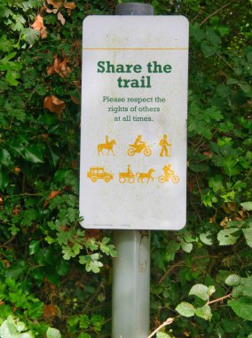 Yazın yaprakların arasında 