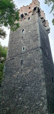 Piast Tower in Cieszyn clipart