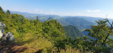 Pieniny Dağları 'ndaki dağın tepesinde kayalar, ağaçlar ve bitkiler