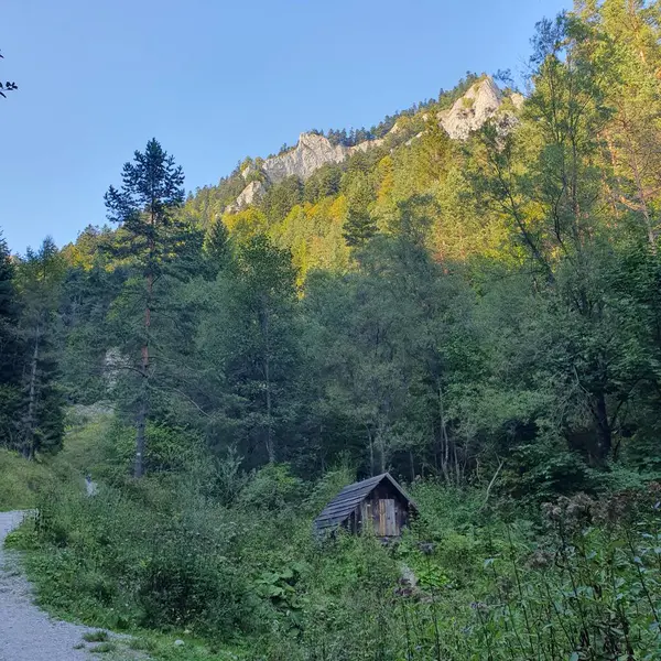Arka planda Pieniny Dağları 'nda Üç Taç Tepesi olan bir kulübe.