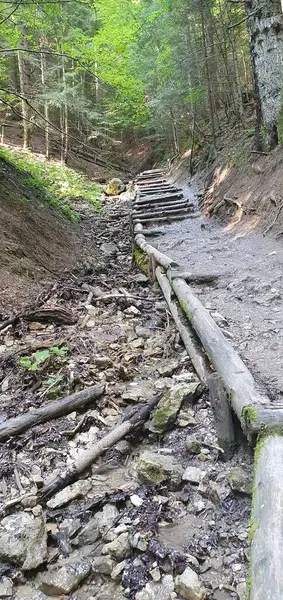 Ormanda uzanan dağ yolu. Peri Dağları