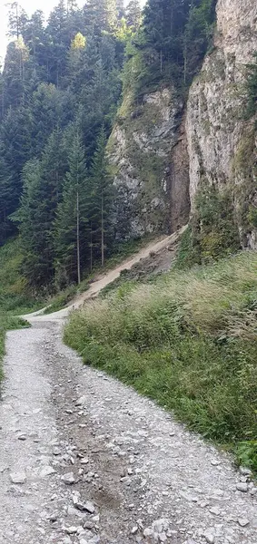 Kayalık bir geçitten geçen bir yol.