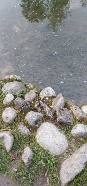 Küçük bir nehrin kıyısında bulunan taşlar. Ağaçlar suya yansıyor..