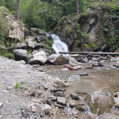 Fotoğraf, Pieniny Dağları 'ndaki Zaskalnik Şelalesi' ni gösteriyor. Su kayalardan aşağı akar ve bir şelale oluşturur. Çevre taşlardan, yosunlardan ve ağaçlardan oluşuyor..
