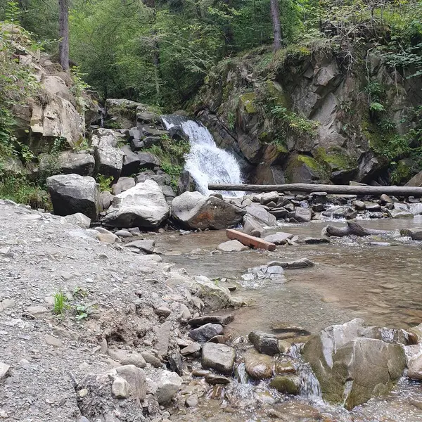 Fotoğraf, Pieniny Dağları 'ndaki Zaskalnik Şelalesi' ni gösteriyor. Su kayalardan aşağı akar ve bir şelale oluşturur. Çevre taşlardan, yosunlardan ve ağaçlardan oluşuyor..