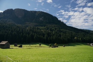 Kulübeleri olan Alp Vadisi. Yeşil bir çayırda dağılmış kulübeleri olan Alp Vadisi. Orman dağları ve arkasında bulutlar olan mavi gökyüzü. Yatay çekim.
