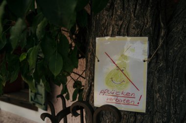 Meyve tabelaları toplamayın. Pflcken verboten yazısını imzalayın! (seçilmesi yasak!) bir ağaca yerleştirilmiş. Görünür yeşil yapraklar ve metal bir çit parçası..