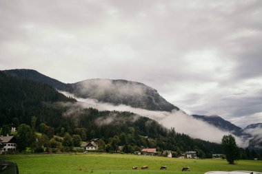 Sisli Alp Vadisi. Köyü ve otlayan inekleri olan resimli bir dağ vadisi. Bulutlu bir gökyüzüne karşı sisle örtülü dağlar.