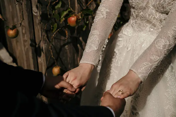 Yeni evlilerin ve elmaların elleri. Yeni evlilerin elleri, dallarda sallanan elmalardan oluşan bir arka planda birbirlerini tutuyorlar. Beyaz gelinlik görünür. Yatay çekim.