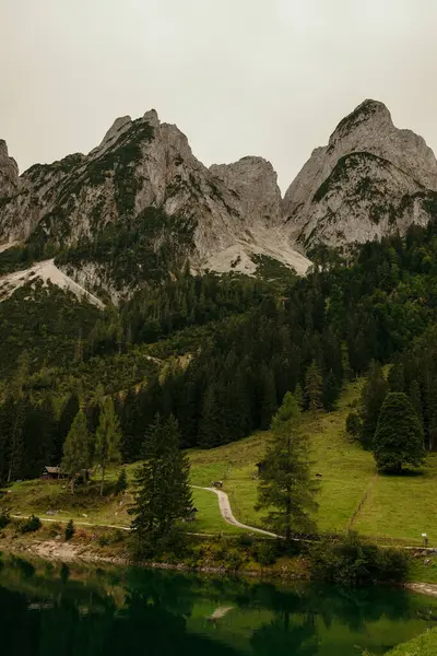 Alp dağları ve göl. Alp dağları ve göl manzarası. Yeşil çayırlar, orman ve aşağıdaki patika.