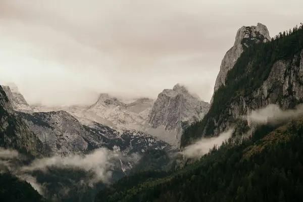  Sisteki dağların zirveleri. Karanlık alp manzarası. Görkemli dağ tepeleri sisle kaplanmış..