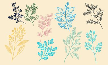 Çeşitli stil ve renklerde el yapımı botanik yaprak çizimleri. Bu vektör seti, dijital tasarım, markalaşma, ambalaj, davetiyeler, hatıra defteri ve daha fazlası için mükemmel çiçek unsurları, en az yeşillik ve dekoratif dallara sahiptir.