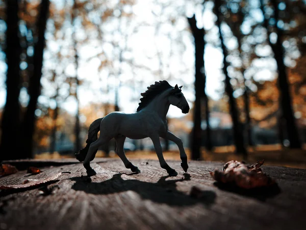 stock image horse fogure in autumn forest