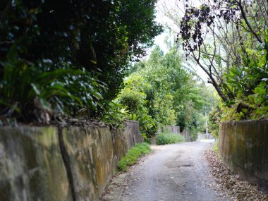 İriomote adasındaki sonai bölgesi.