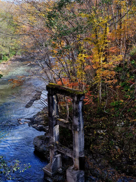 Podzimní Listí Iwanai Hokkaido — Stock fotografie