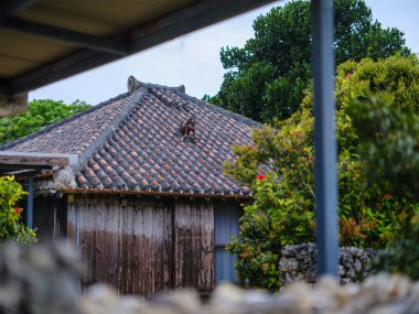 Taketomi Adası 'nın eski bir kasabası