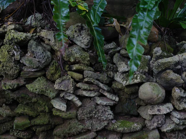 Riomote Adasında Taş Duvar — Stok fotoğraf