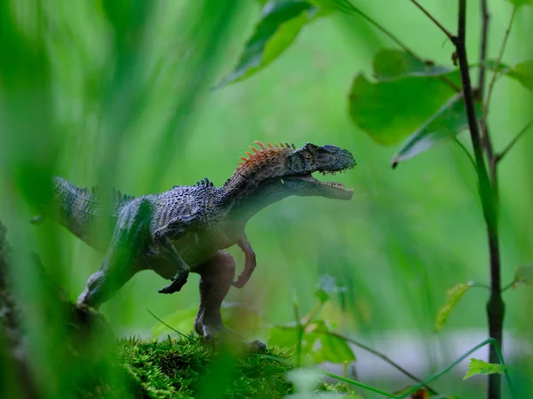 Egy Allosaurus Zöld Erdőben — Stock Fotó