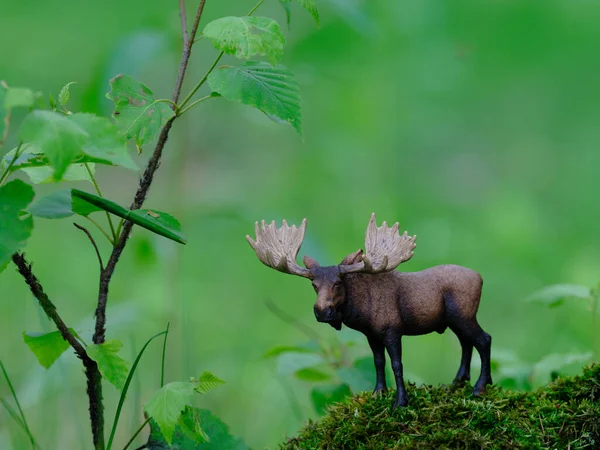 绿林和麋鹿形象 — 图库照片
