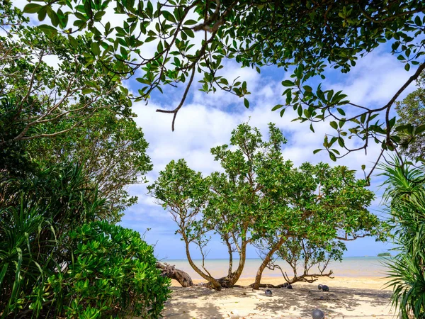 Bela Praia Ilha Iriomote — Fotografia de Stock