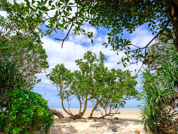 Piękna Plaża Wyspie Iriomote — Zdjęcie stockowe