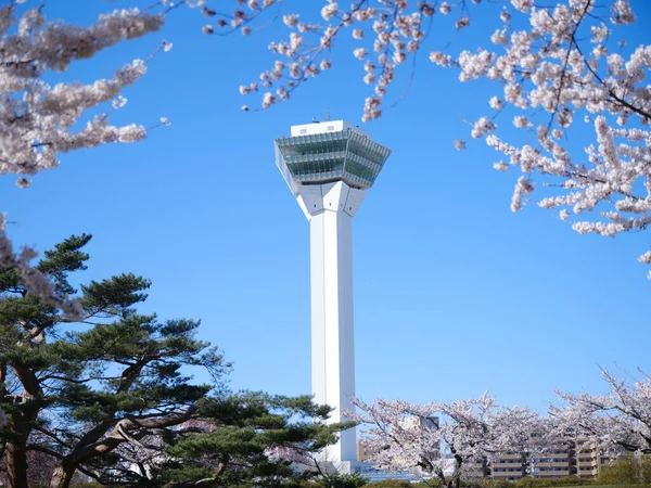 Wieża Goryokaku Kwiaty Wiśni — Zdjęcie stockowe