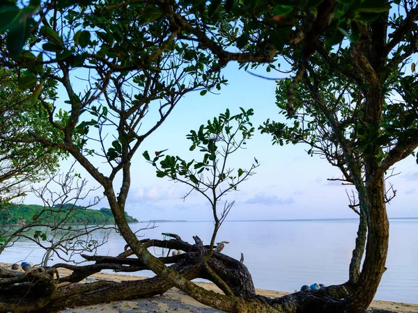 Piękna Plaża Wyspie Iriomote — Zdjęcie stockowe